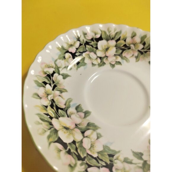 Vintage Royal Albert Tea Cup and Saucer Set, Fragrance Series, Orange Blossom - Picture 10 of 12